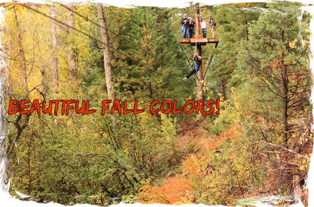 5 Spots to Enjoy Colorado's Fall Colors