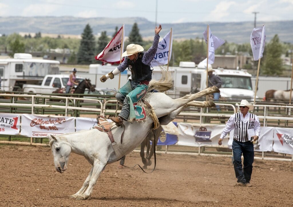 Buena Vista Rodeo Week