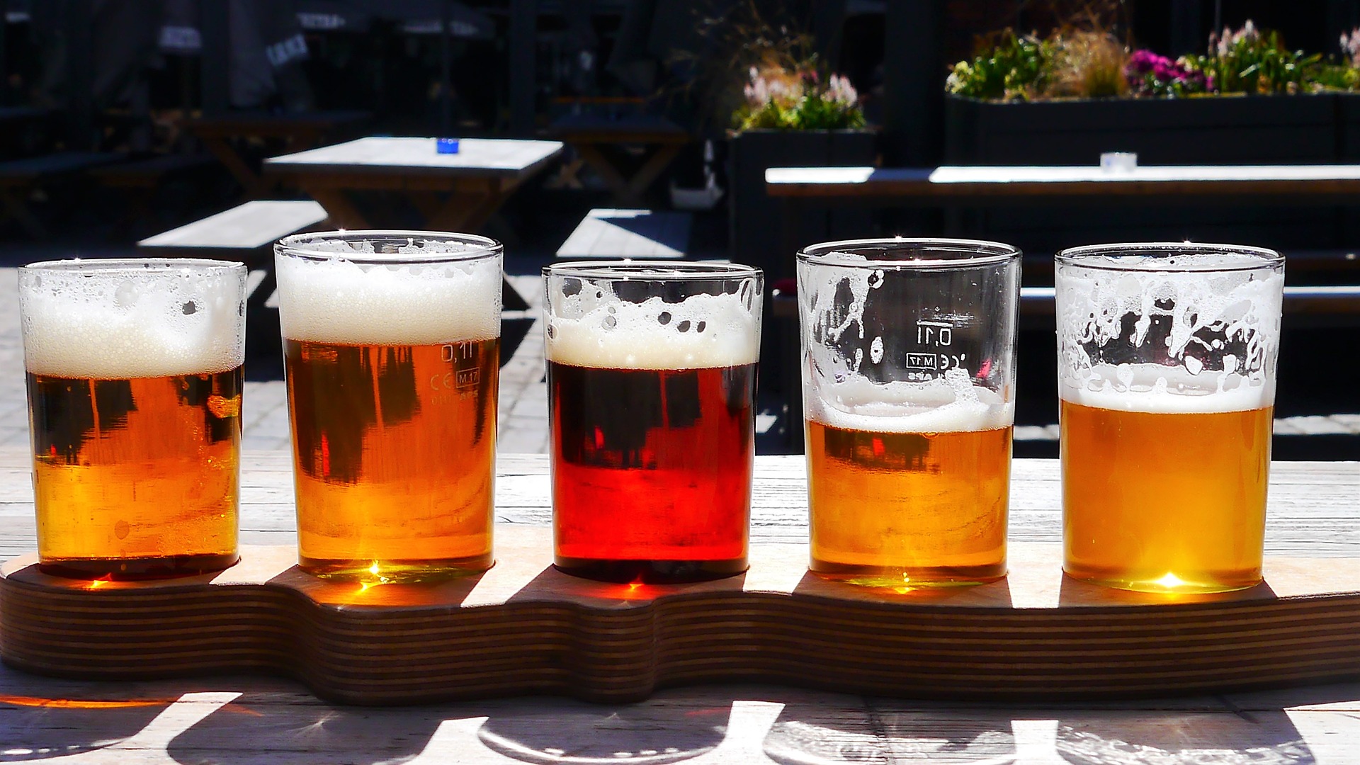 Colorado Beer Festivals Colorado Zipline