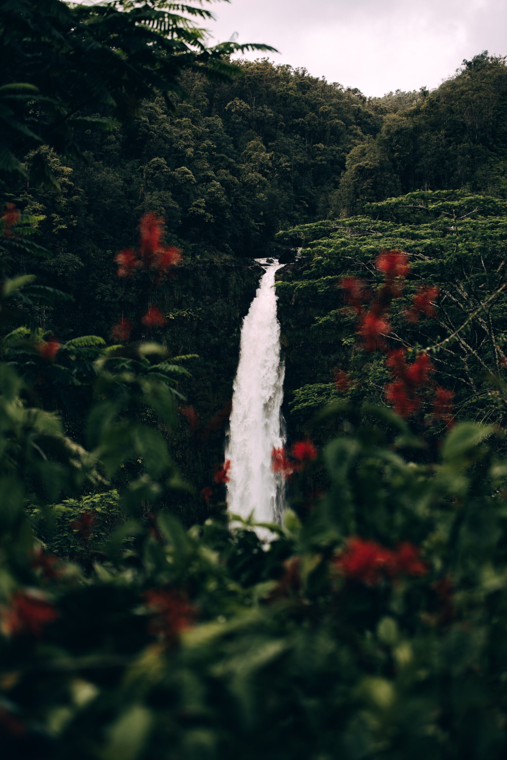 'Akaka Falls, Hawaii