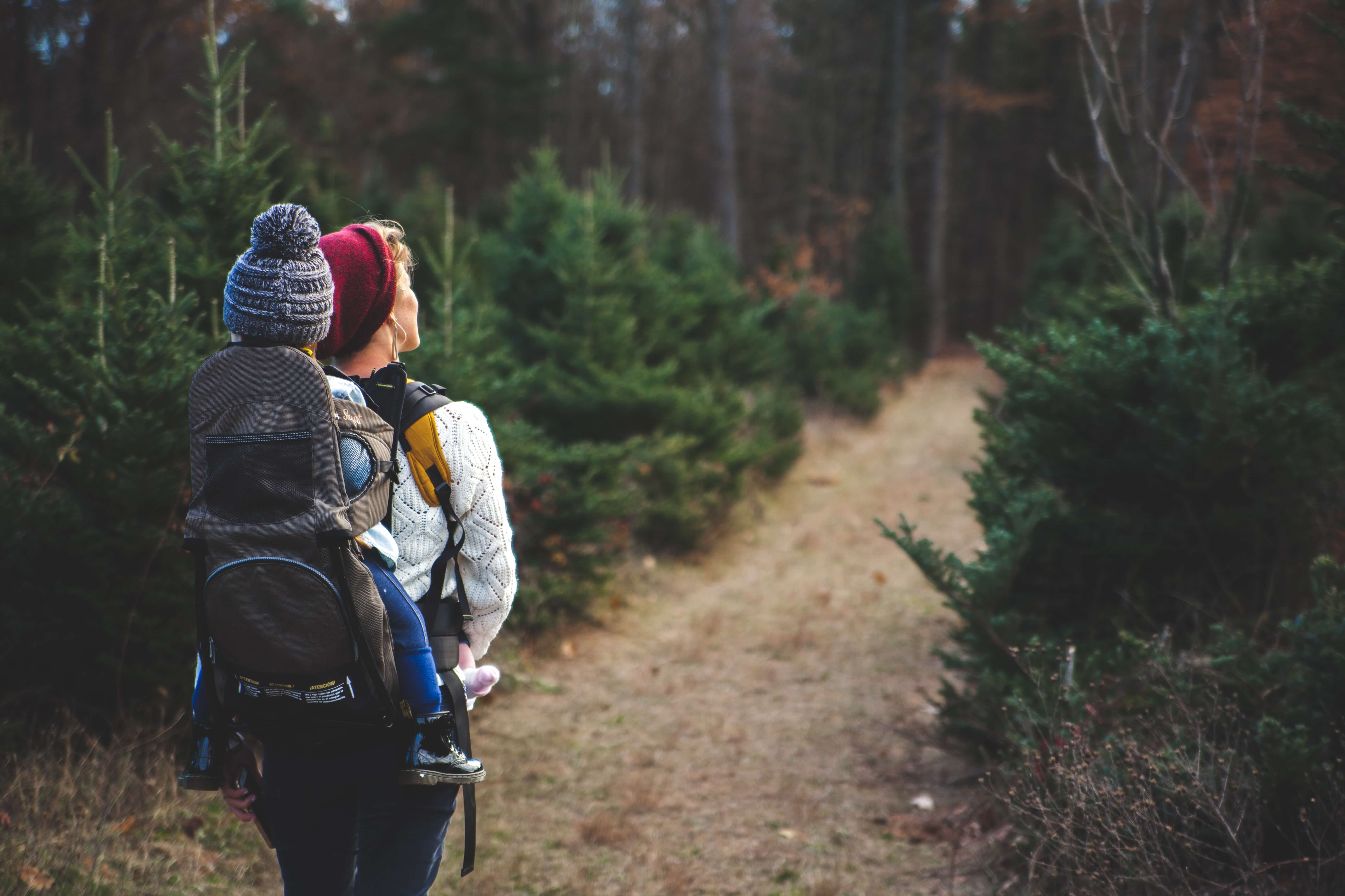 Los 10 mejores senderos para pasear en Leadville