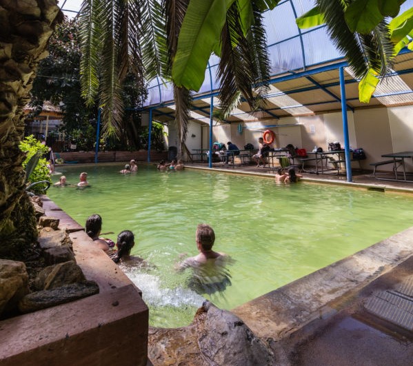 People in an indoors light green hot spring with a tropical tree hanging overhead