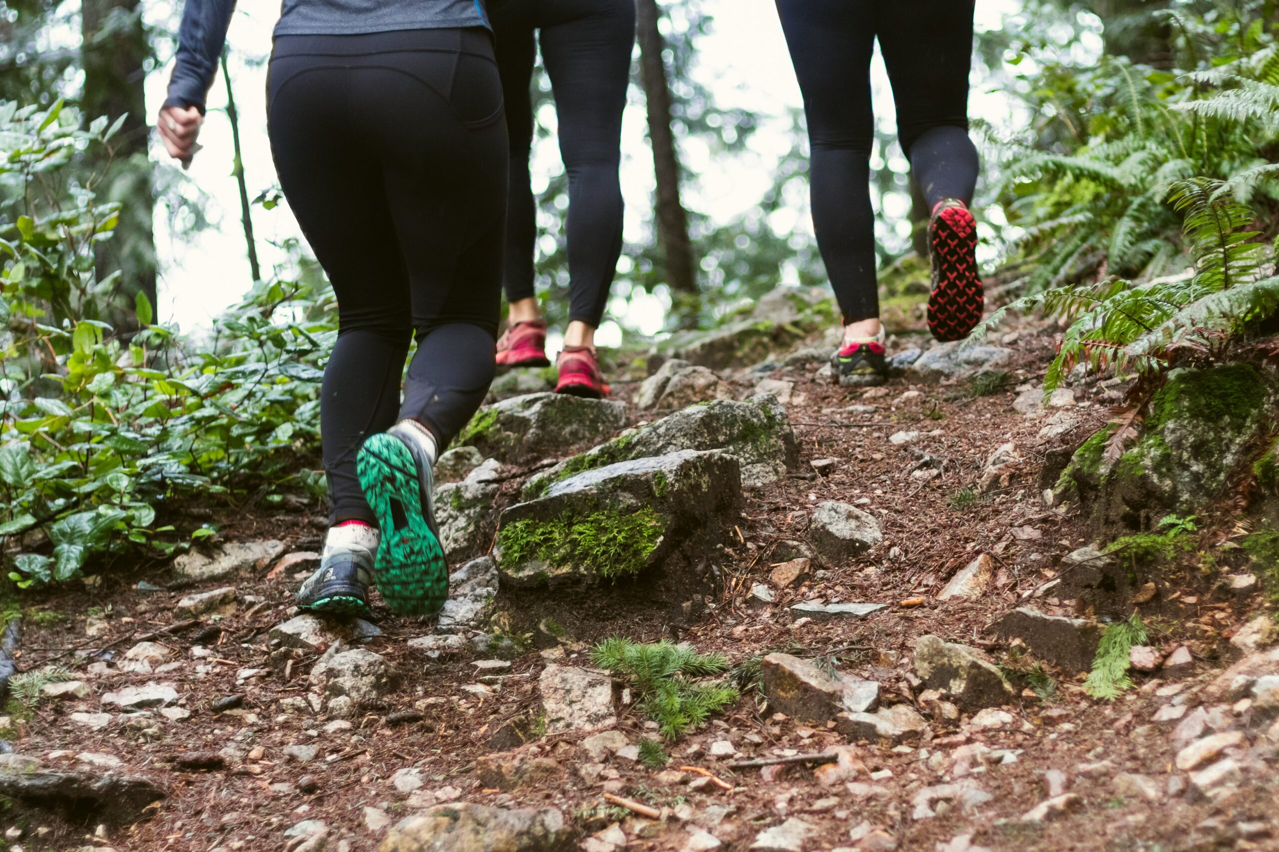 People hiking in trail shoes