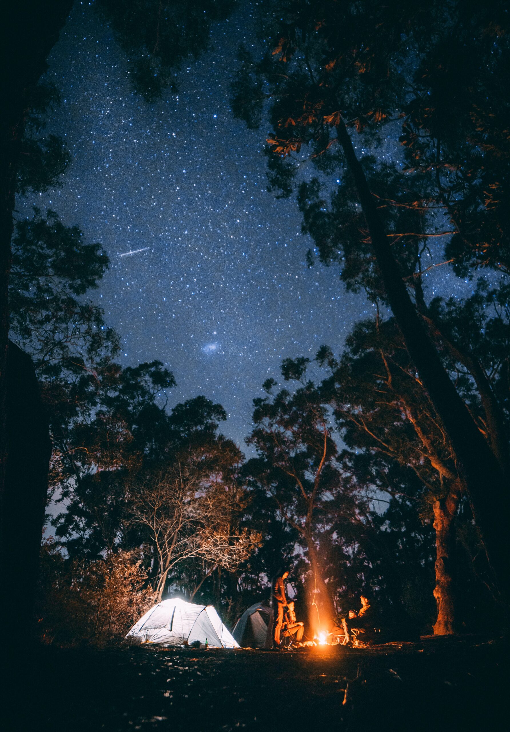 camping under stars with fire