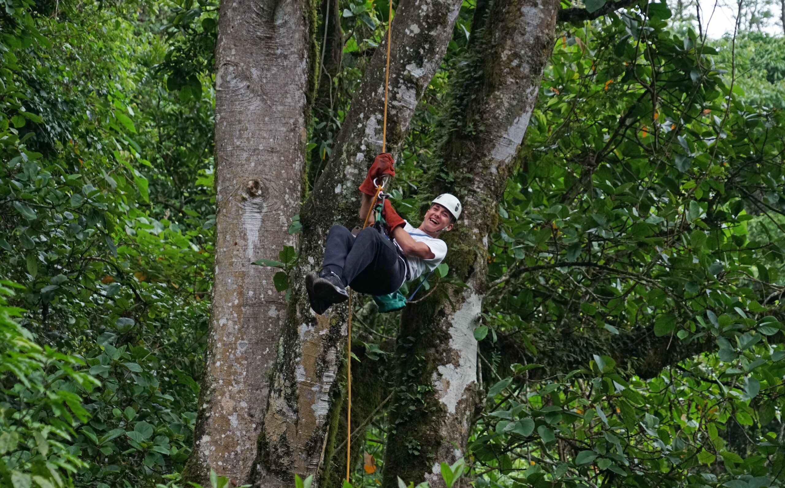 man swinging on zipline course through jungle