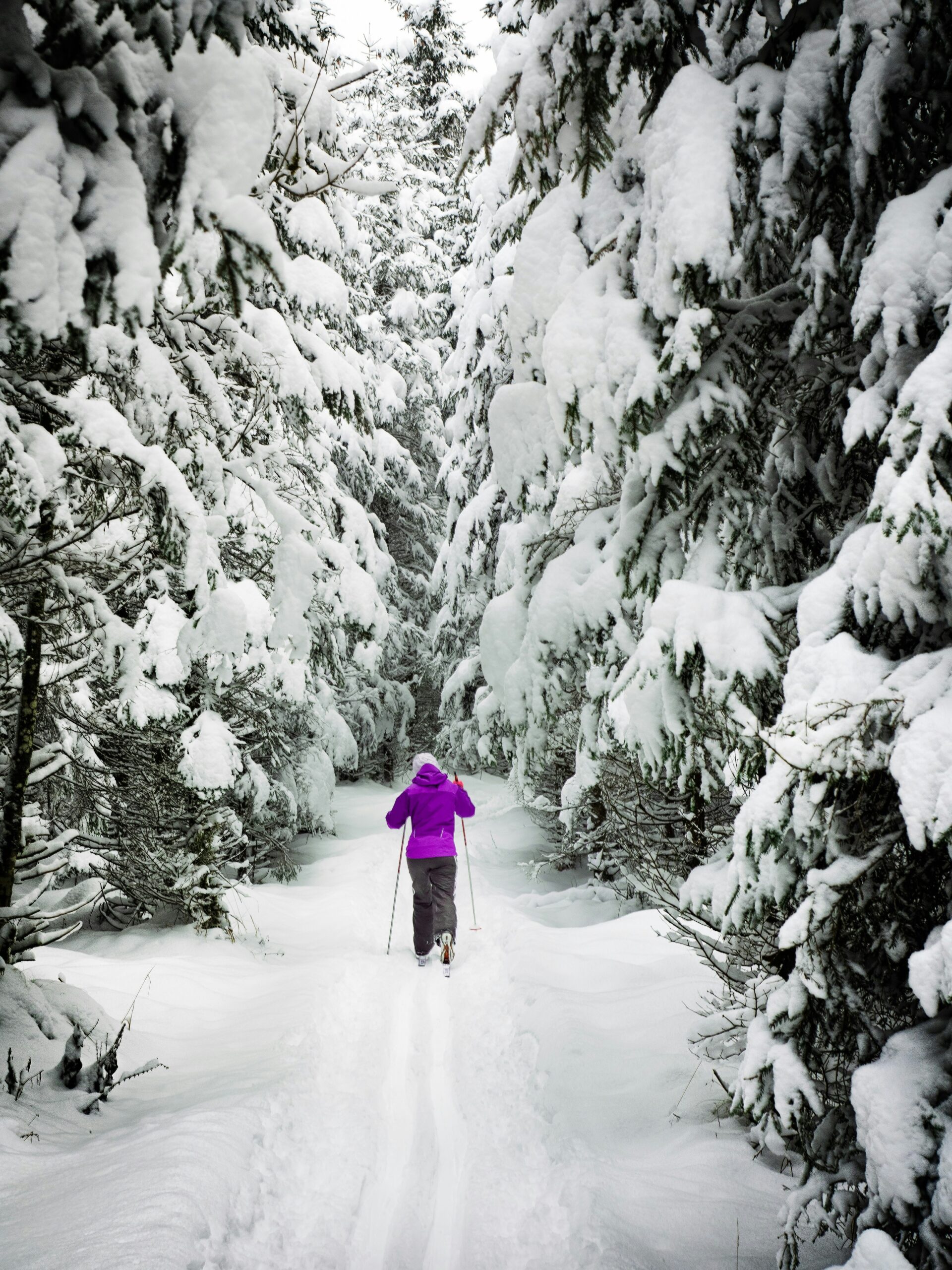 woman cross country skiing