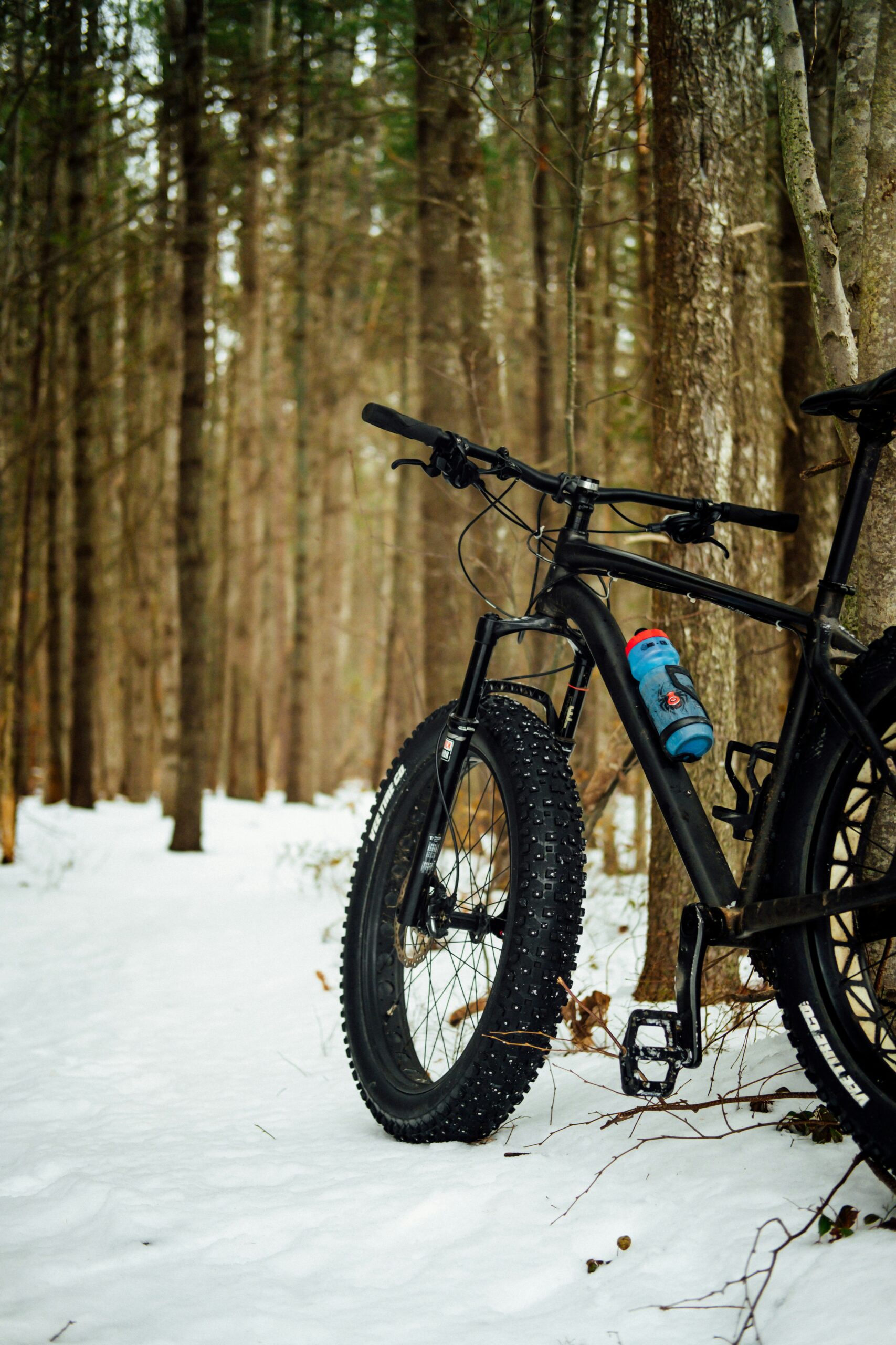 fat bike leaning against tree, snow